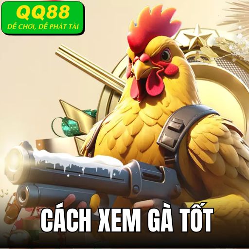 Cách Xem Gà Tốt - Bet Thủ Nên Biết Để Cá Cược