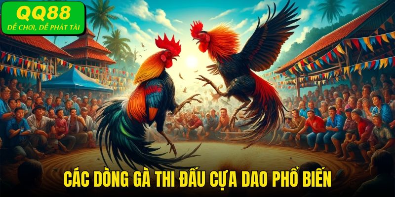 Giới thiệu những giống gà đá cựa dao xuất sắc nhất hiện nay