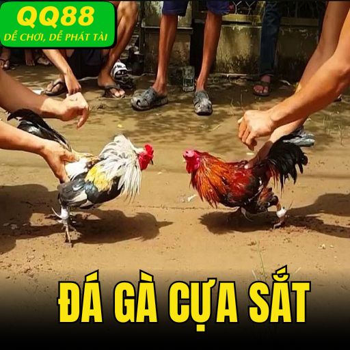 Đá Gà Cựa Sắt - Bí Quyết Kiếm Lợi Nhuận Khủng