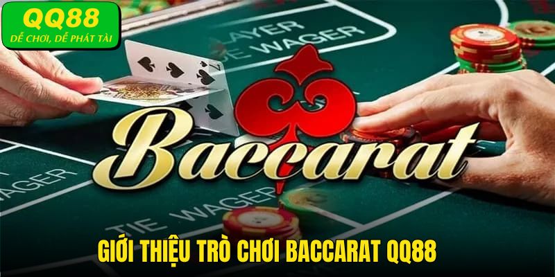 Baccarat QQ88 thu hút lượng lớn hội viên tại tất cả sảnh cược