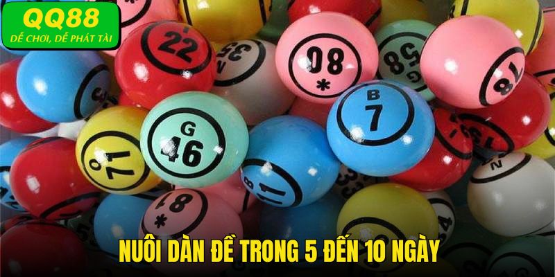 Tìm cách dàn đề hiệu quả và nuôi trong 5 đến 10 ngày